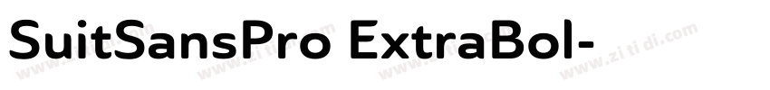 SuitSansPro ExtraBol字体转换